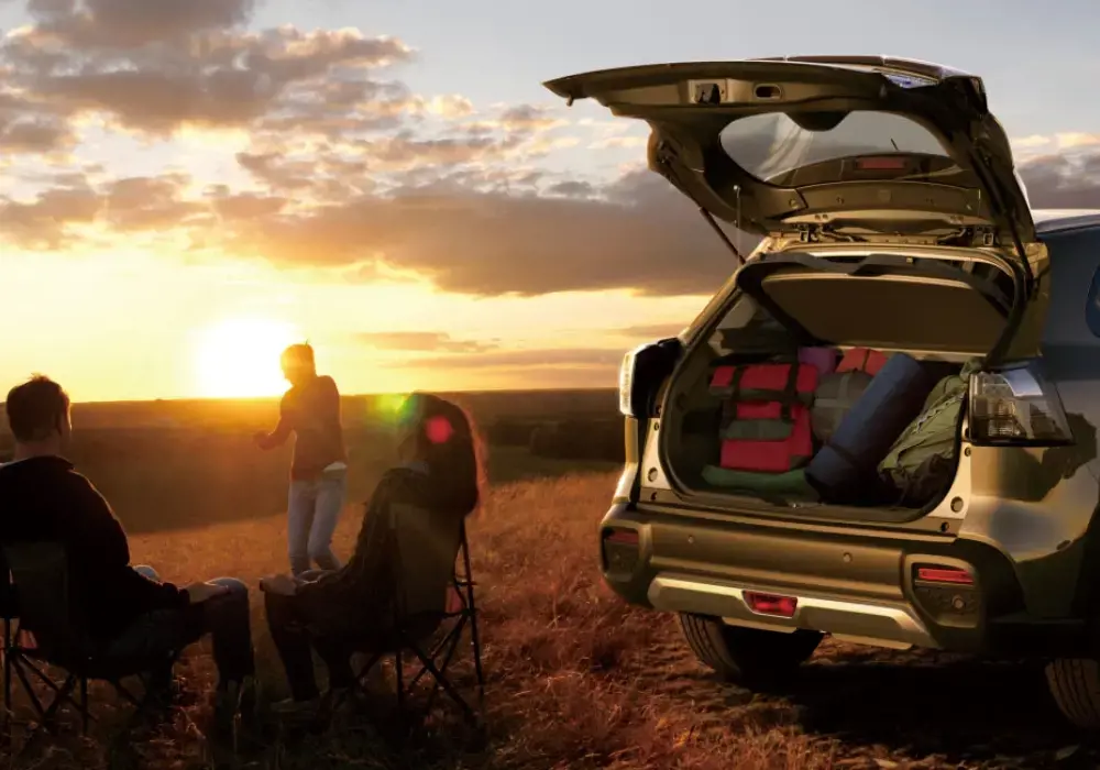 Suzuki S-Cross color gris oscuro está estacionado en un campo abierto